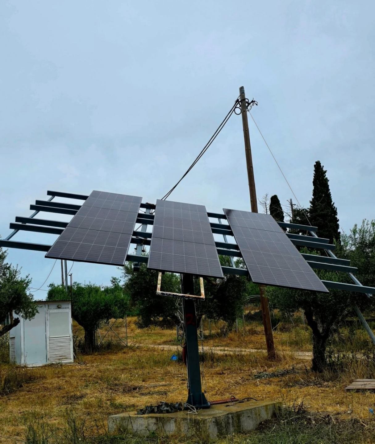 viber_image_2025 12 09_20 01 16 277